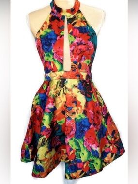 Luxxel Multicolor Floral Halter Dress